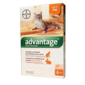 Advantage s.o. cat a.u.v. 4kg-ig