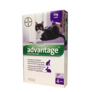 Advantage s.o. cat a.u.v. 4kg-tól
