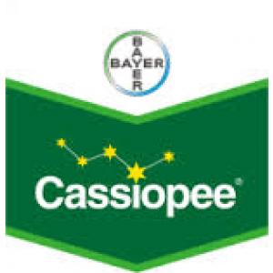Cassiopee 79 wg