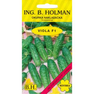 Holman uborka - Viola F1 hr 2 g