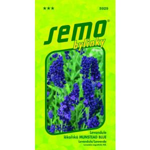 Levendula - Munstead kék 0,4 g