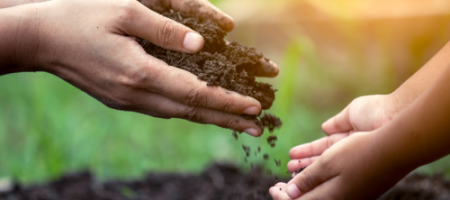 Élet a talajban - a baktériumok a legökologikusabb védelmet jelentik a betegségek és kártevők ellen